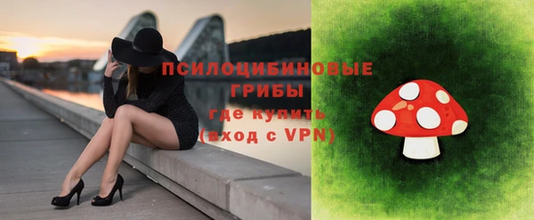 прущая мука Медногорск