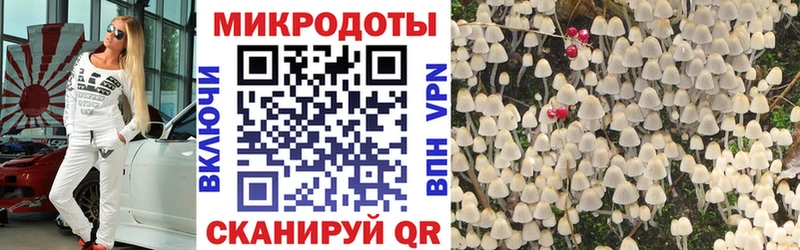 Галлюциногенные грибы MAGIC MUSHROOMS  мега ссылки  Артём  как найти закладки 